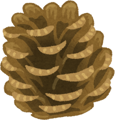 Hand-Drawn Pine Cone Illustration