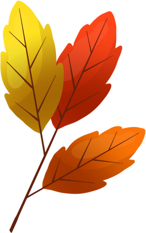 Autumn Leaf Icon